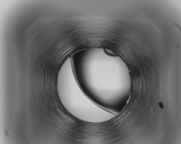 X0000097300092200802151133