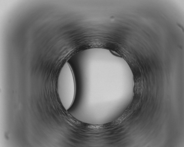 X0000097300093200802151133