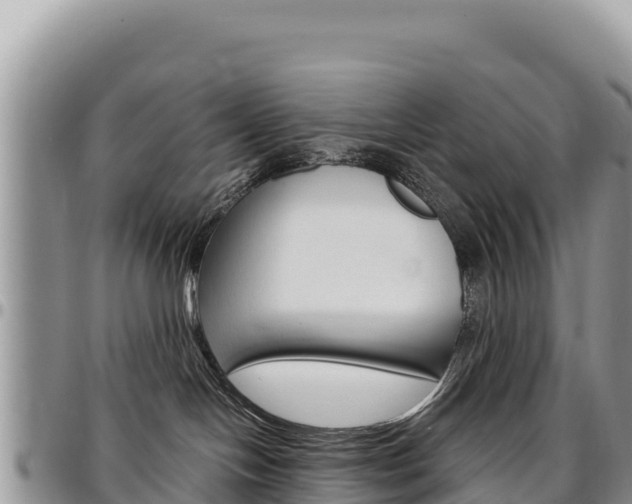 X0000097300094200802151133