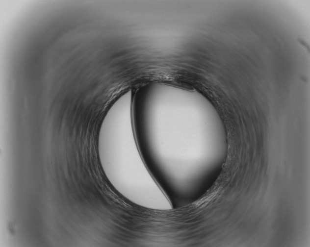 X0000097300096200802151133