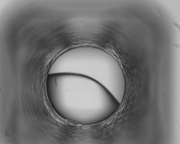 X0000097300097200802151132