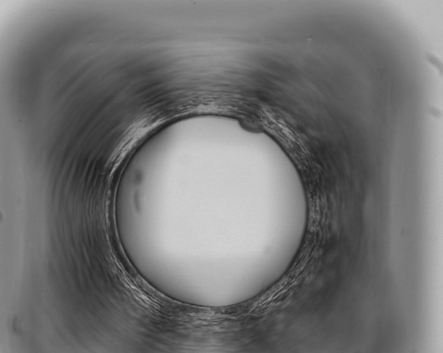 X0000097300098200802151132