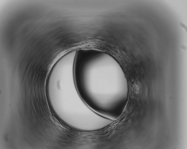 X0000097300100200802151132