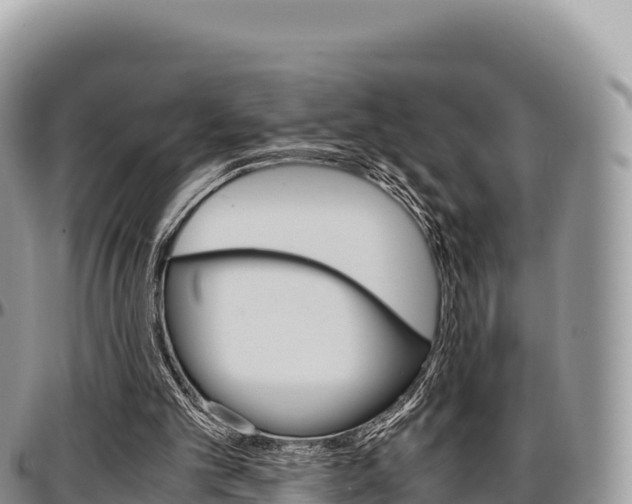 X0000097300101200802151132