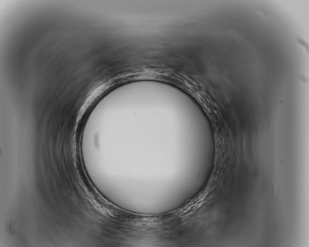 X0000097300102200802151132