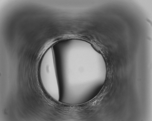 X0000097300103200802151132