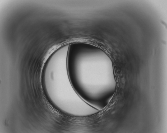 X0000097300104200802151132