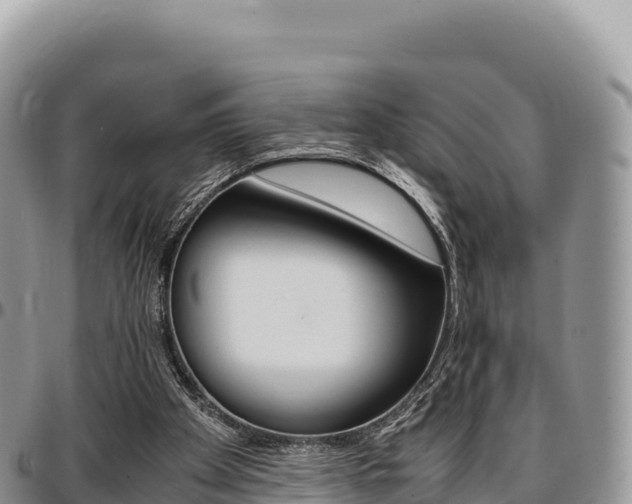 X0000097300105200802151132