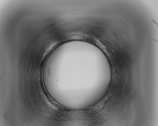X0000097300106200802151132
