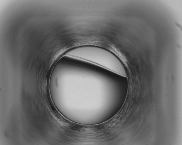 X0000097300107200802151132