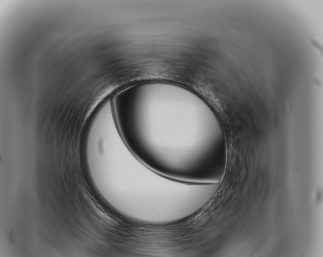 X0000097300108200802151132