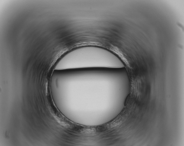 X0000097300110200802151132