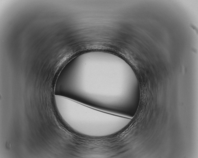 X0000097300111200802151132