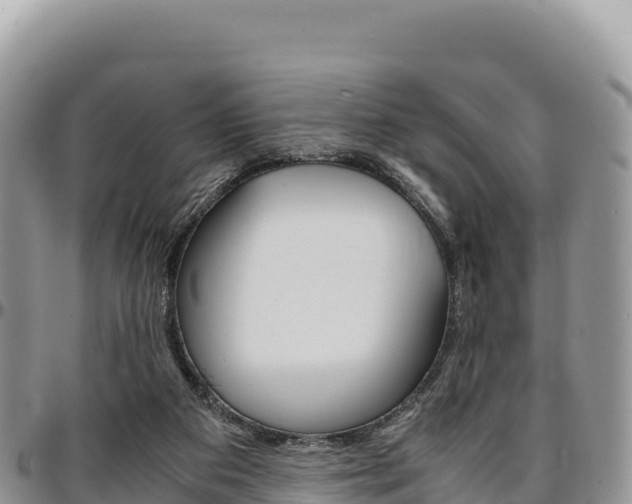 X0000097300113200802151131