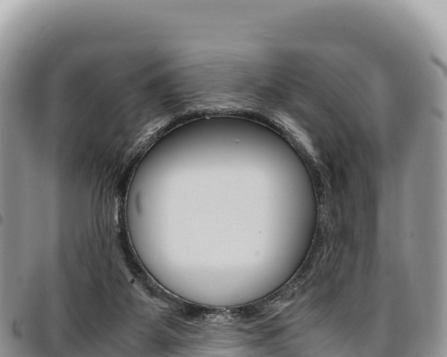 X0000097300115200802151131