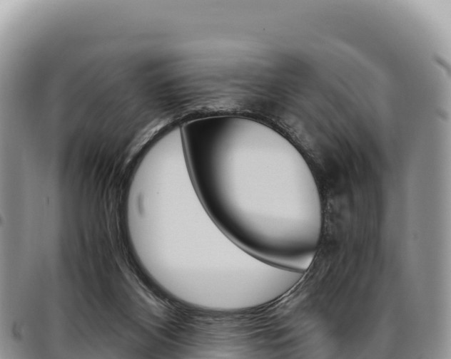 X0000097300116200802151131