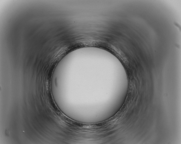 X0000097300117200802151131