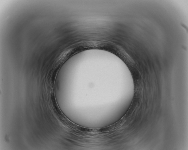 X0000097300119200802151131