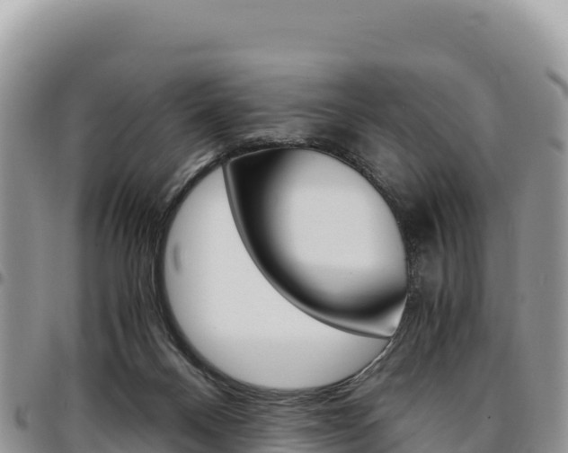 X0000097300120200802151131