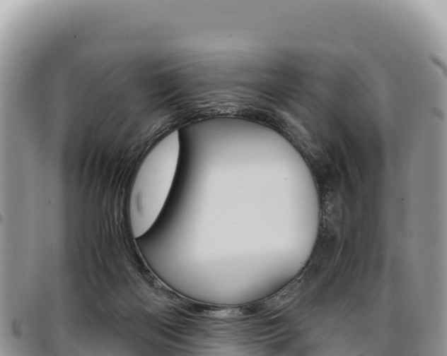 X0000097300122200802151131
