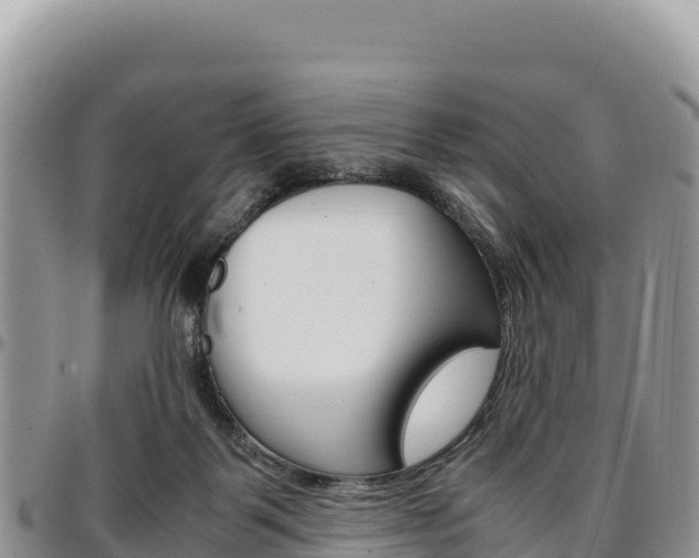 X0000097300123200802151131