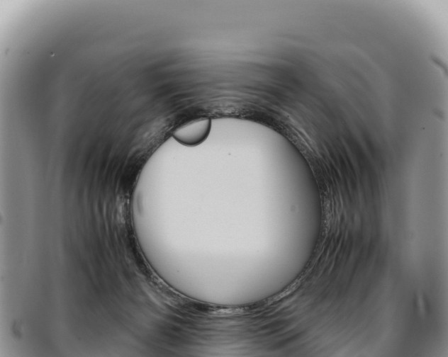 X0000097300126200802151131