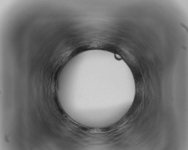 X0000097300127200802151131