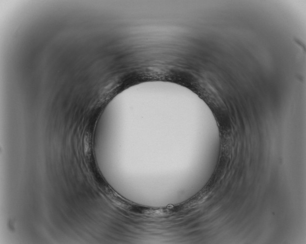 X0000097300131200802151131