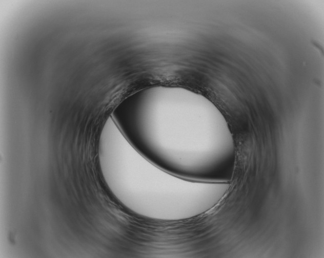 X0000097300132200802151131