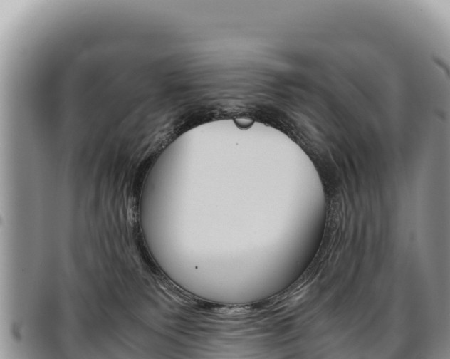 X0000097300135200802151131