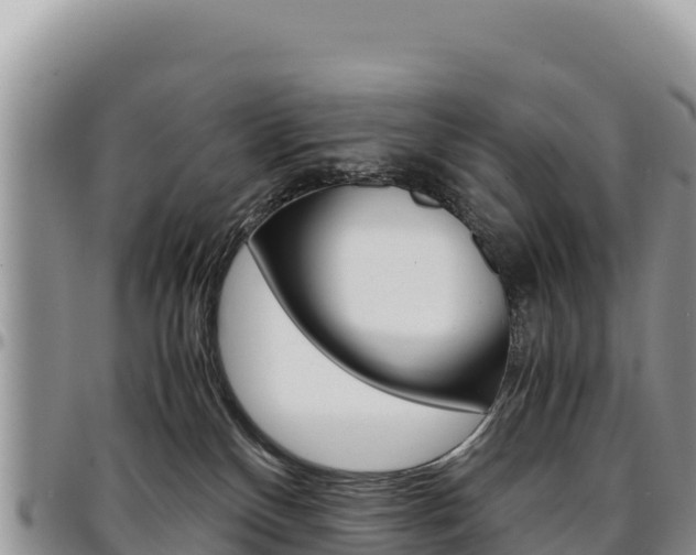 X0000097300136200802151131
