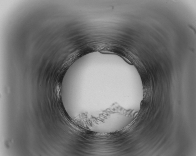 X0000097300142200802151131
