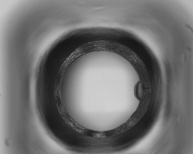 X0000097300143200802151131