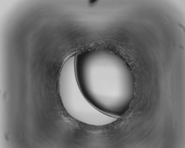 X0000097300144200802151131