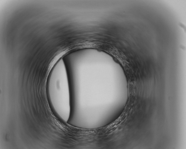 X0000097300147200802151130