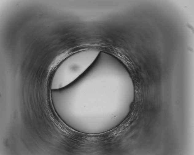 X0000097300149200802151130