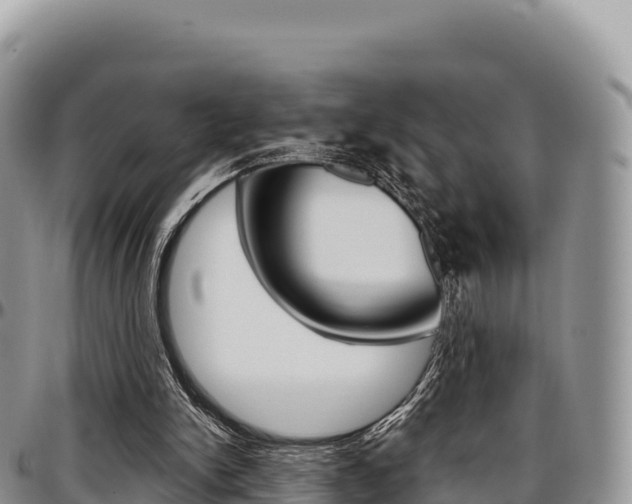 X0000097300150200802151130