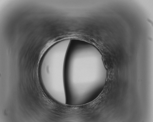 X0000097300152200802151131