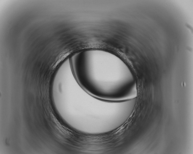 X0000097300154200802151131
