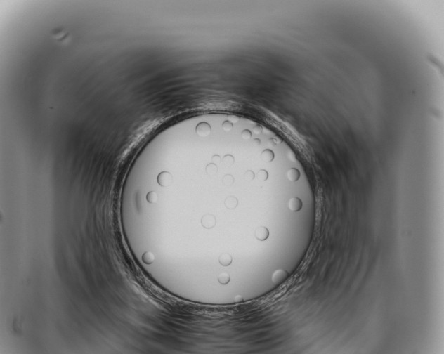 X0000097300155200802151131