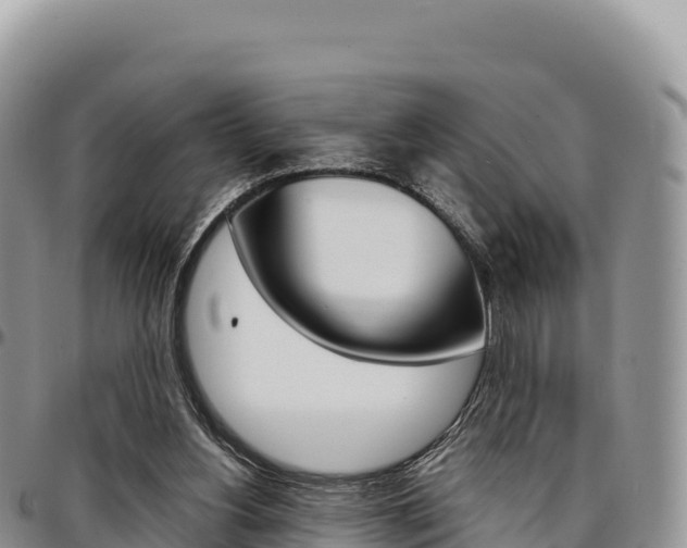 X0000097300156200802151131
