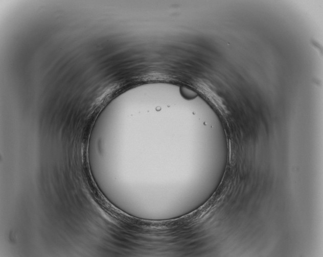 X0000097300157200802151131