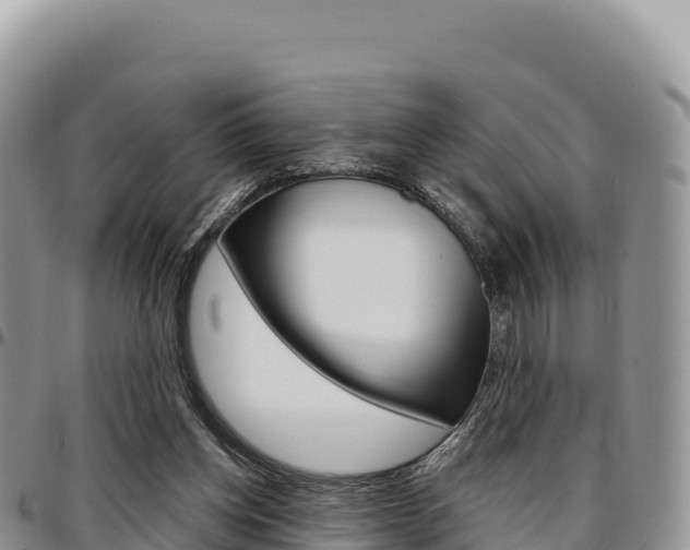 X0000097300158200802151131
