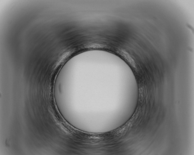 X0000097300159200802151131