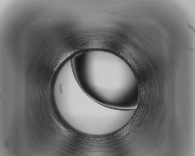 X0000097300160200802151131