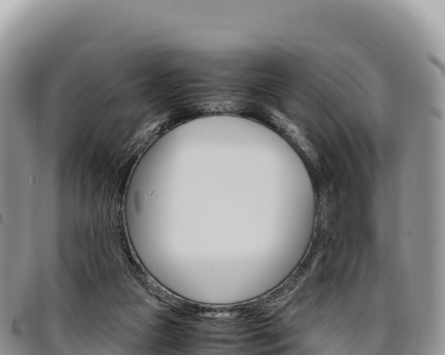 X0000097300161200802151131