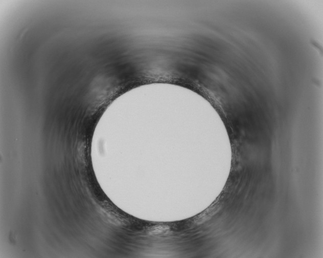 X0000097300162200802151131