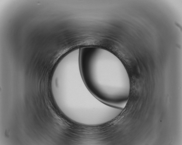 X0000097300164200802151131