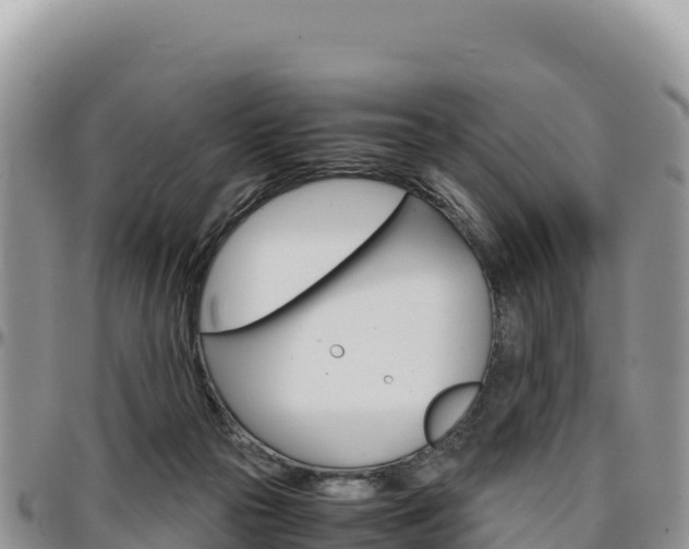 X0000097300169200802151131