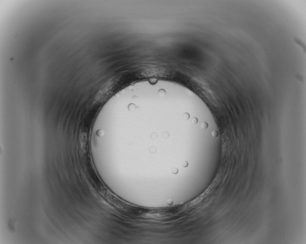 X0000097300171200802151131